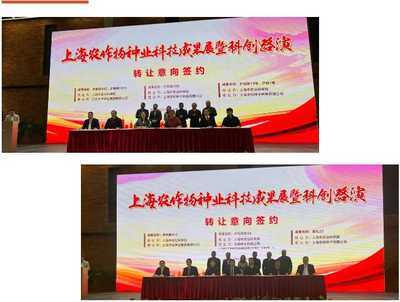 上海種業(yè)科技成果路演交易簽約 為種業(yè)高質(zhì)量發(fā)展注入新動能